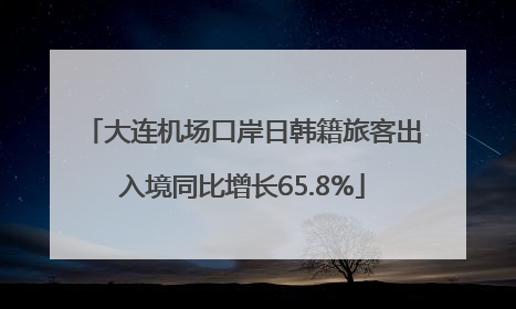 大连机场口岸日韩籍旅客出入境同比增长65.8%