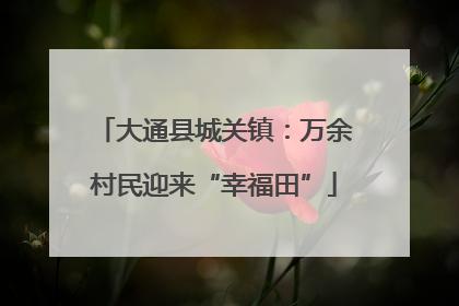大通县城关镇：万余村民迎来“幸福田”