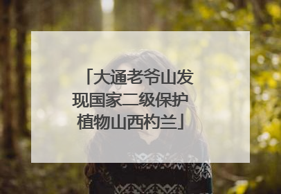 大通老爷山发现国家二级保护植物山西杓兰