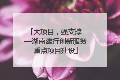 大项目，强支撑——湖南建行创新服务重点项目建设