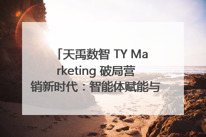 天禹数智 TY Marketing 破局营销新时代：智能体赋能与人才培育双轮驱动
