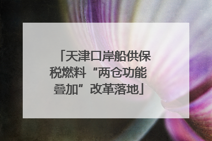 天津口岸船供保税燃料“两仓功能叠加”改革落地