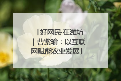 好网民·在潍坊｜曹紫瑜：以互联网赋能农业发展