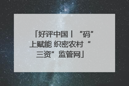 好评中国丨“码”上赋能 织密农村“三资”监管网