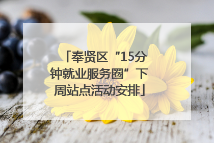 奉贤区“15分钟就业服务圈”下周站点活动安排