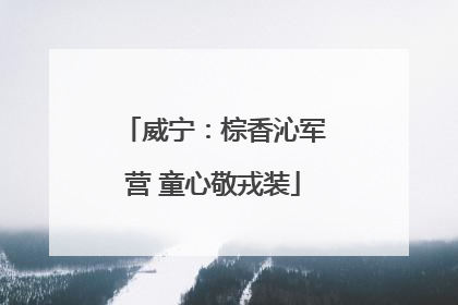 威宁：棕香沁军营 童心敬戎装