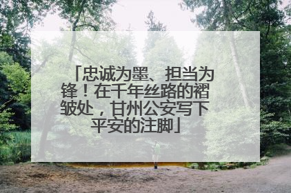忠诚为墨、担当为锋！在千年丝路的褶皱处，甘州公安写下平安的注脚