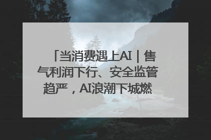 当消费遇上AI｜售气利润下行、安全监管趋严，AI浪潮下城燃企业如何破局