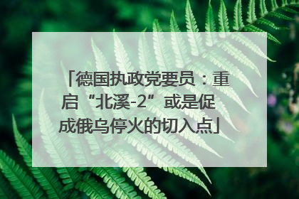德国执政党要员：重启“北溪-2”或是促成俄乌停火的切入点