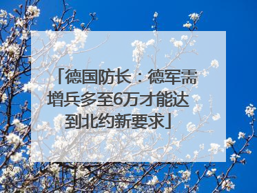 德国防长：德军需增兵多至6万才能达到北约新要求