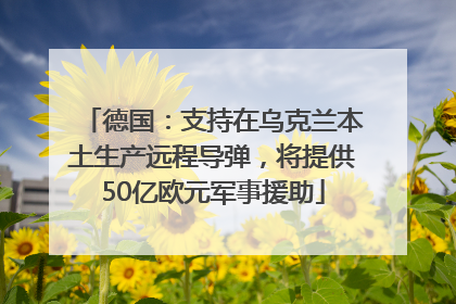德国：支持在乌克兰本土生产远程导弹，将提供50亿欧元军事援助