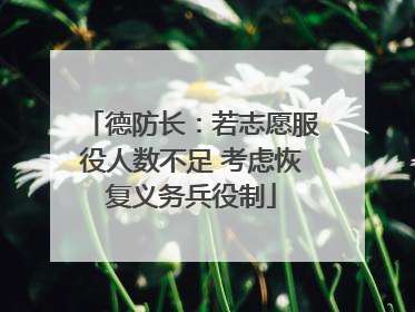 德防长：若志愿服役人数不足 考虑恢复义务兵役制