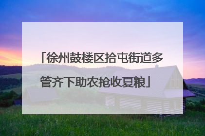 徐州鼓楼区拾屯街道多管齐下助农抢收夏粮
