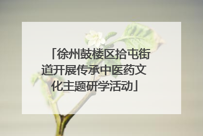 徐州鼓楼区拾屯街道开展传承中医药文化主题研学活动