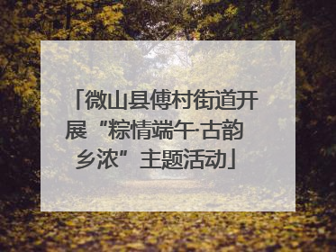 微山县傅村街道开展“粽情端午·古韵乡浓”主题活动
