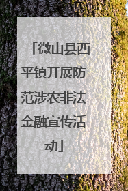 微山县西平镇开展防范涉农非法金融宣传活动