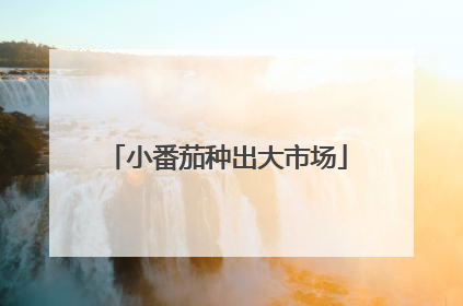 小番茄种出大市场