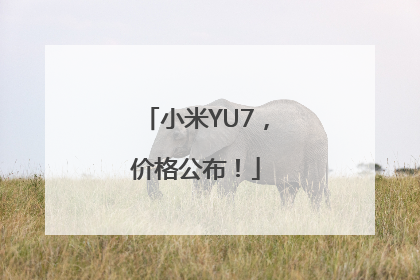 小米YU7，价格公布！