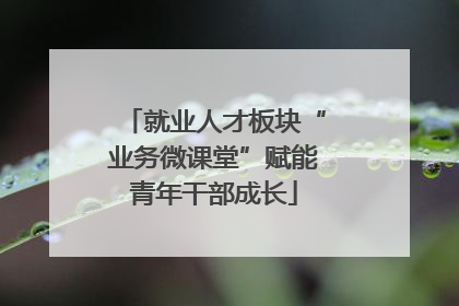 就业人才板块“业务微课堂”赋能青年干部成长