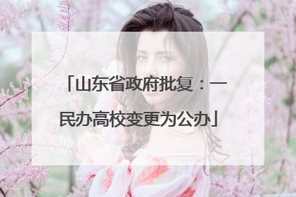 山东省政府批复：一民办高校变更为公办