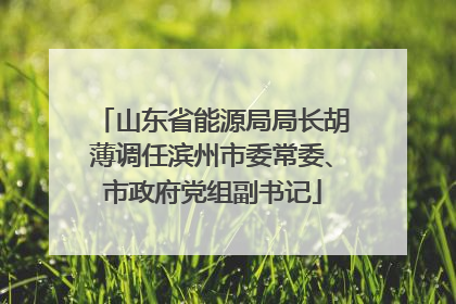 山东省能源局局长胡薄调任滨州市委常委、市政府党组副书记