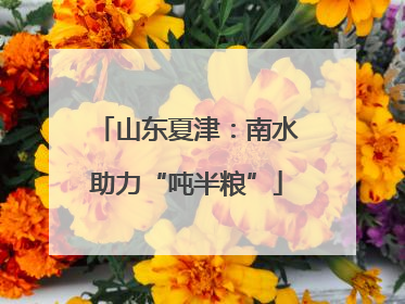 山东夏津：南水助力“吨半粮”