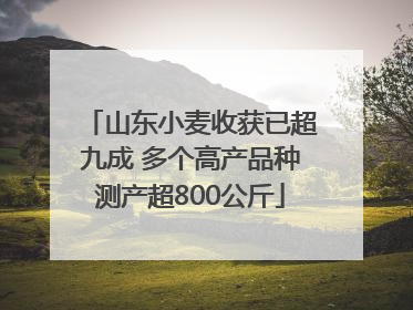 山东小麦收获已超九成 多个高产品种测产超800公斤