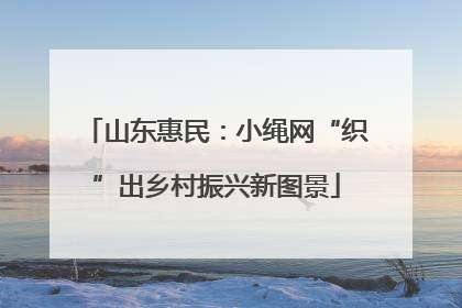 山东惠民：小绳网“织”出乡村振兴新图景