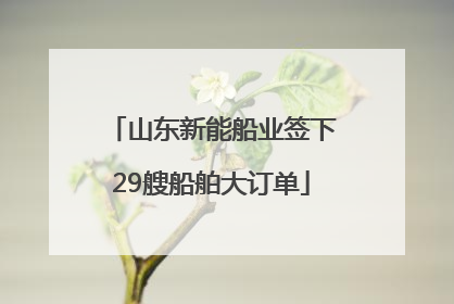 山东新能船业签下29艘船舶大订单