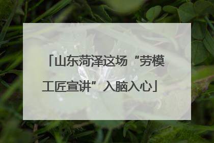 山东菏泽这场“劳模工匠宣讲”入脑入心