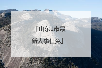 山东1市最新人事任免
