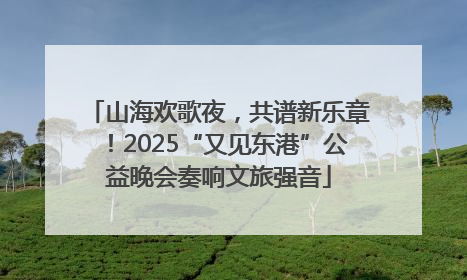 山海欢歌夜，共谱新乐章！2025“又见东港”公益晚会奏响文旅强音