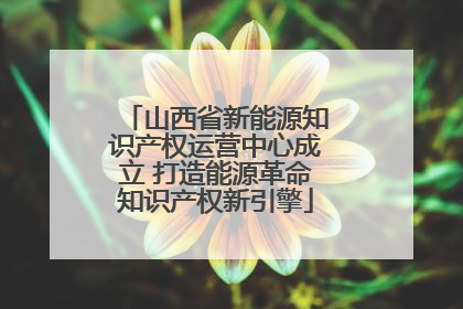 山西省新能源知识产权运营中心成立 打造能源革命知识产权新引擎