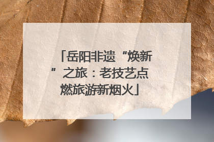 岳阳非遗“焕新”之旅：老技艺点燃旅游新烟火