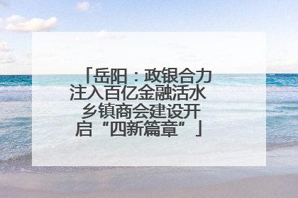 岳阳：政银合力注入百亿金融活水 乡镇商会建设开启“四新篇章”