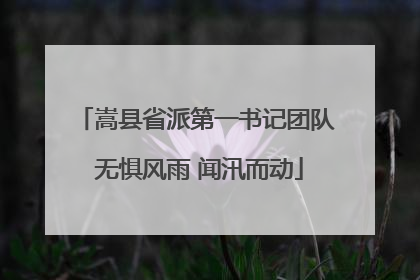 嵩县省派第一书记团队 无惧风雨 闻汛而动