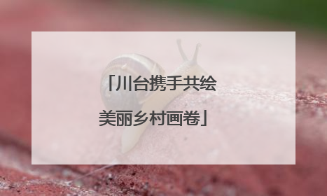 川台携手共绘美丽乡村画卷