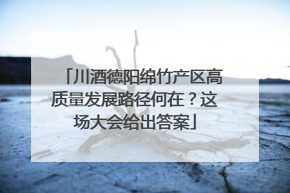 川酒德阳绵竹产区高质量发展路径何在？这场大会给出答案