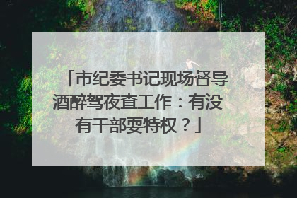 市纪委书记现场督导酒醉驾夜查工作：有没有干部耍特权？
