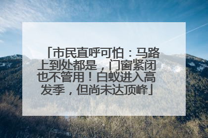 市民直呼可怕：马路上到处都是，门窗紧闭也不管用！白蚁进入高发季，但尚未达顶峰