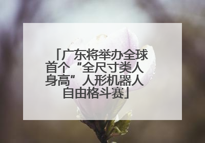 广东将举办全球首个“全尺寸类人身高”人形机器人自由格斗赛
