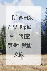 广西田东芒果迎采摘季 “甜蜜事业”赋能文旅