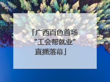 广西百色首场“工会帮就业”直播落幕