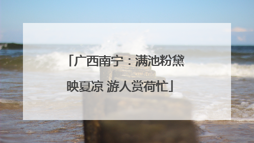 广西南宁：满池粉黛映夏凉 游人赏荷忙