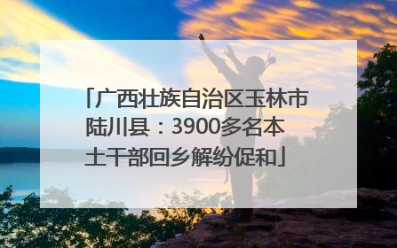 广西壮族自治区玉林市陆川县：3900多名本土干部回乡解纷促和
