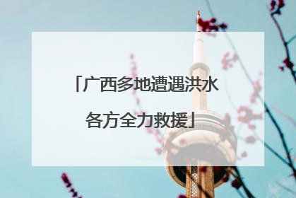 广西多地遭遇洪水 各方全力救援