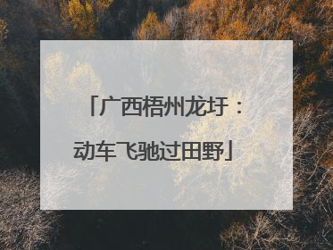 广西梧州龙圩：动车飞驰过田野