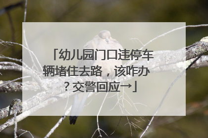 幼儿园门口违停车辆堵住去路，该咋办？交警回应→