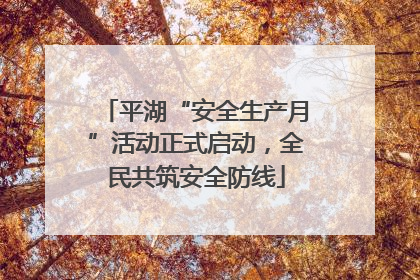 平湖“安全生产月”活动正式启动，全民共筑安全防线