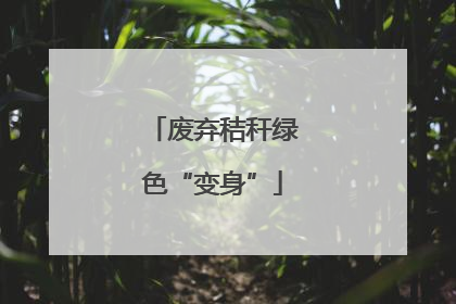 废弃秸秆绿色“变身”